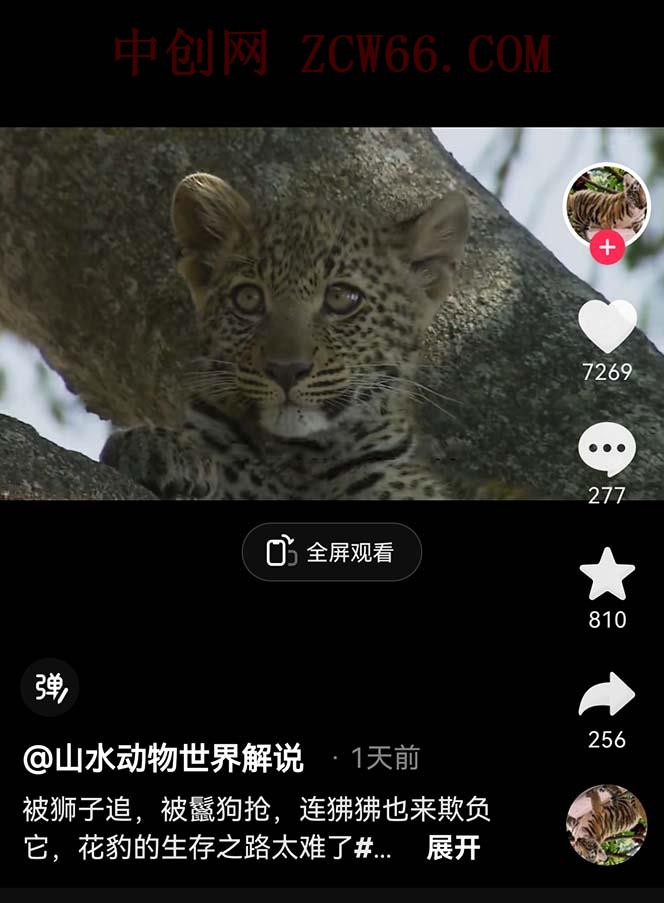 图片[2]-外面卖1699的国外纪录片解说（动物解说、美食、动画片）稳过中视频-中创网